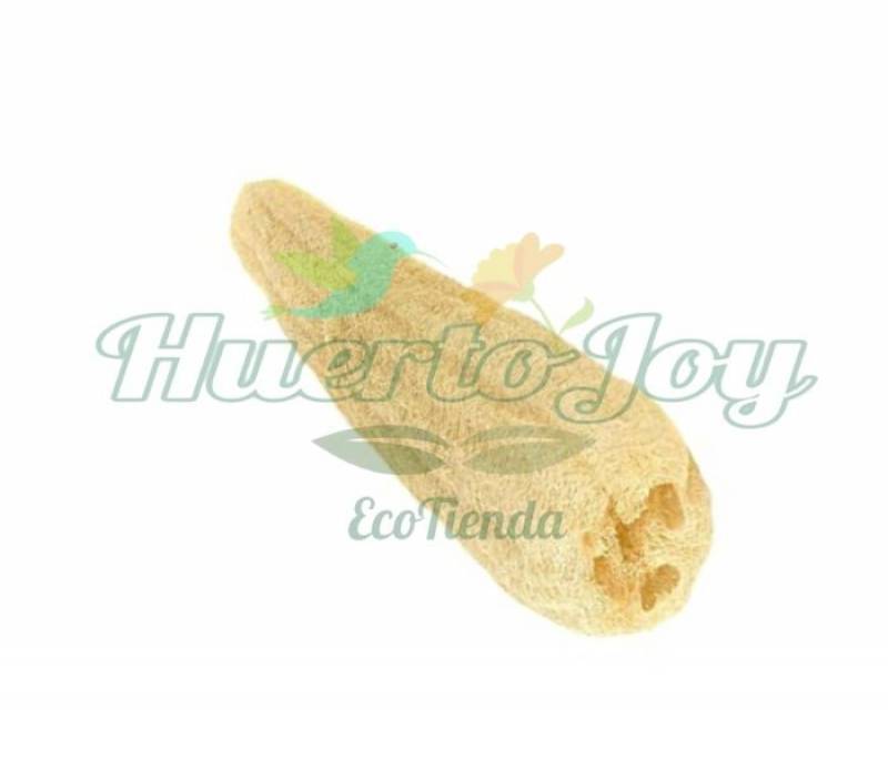 Titulo